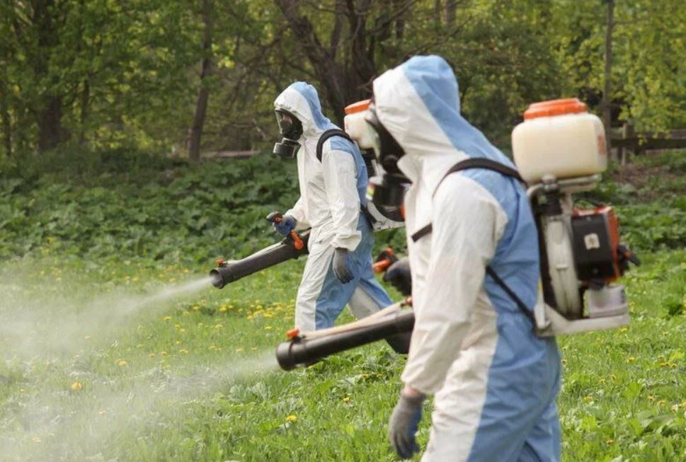 ФОТО Уничтожение клопов в Вологде