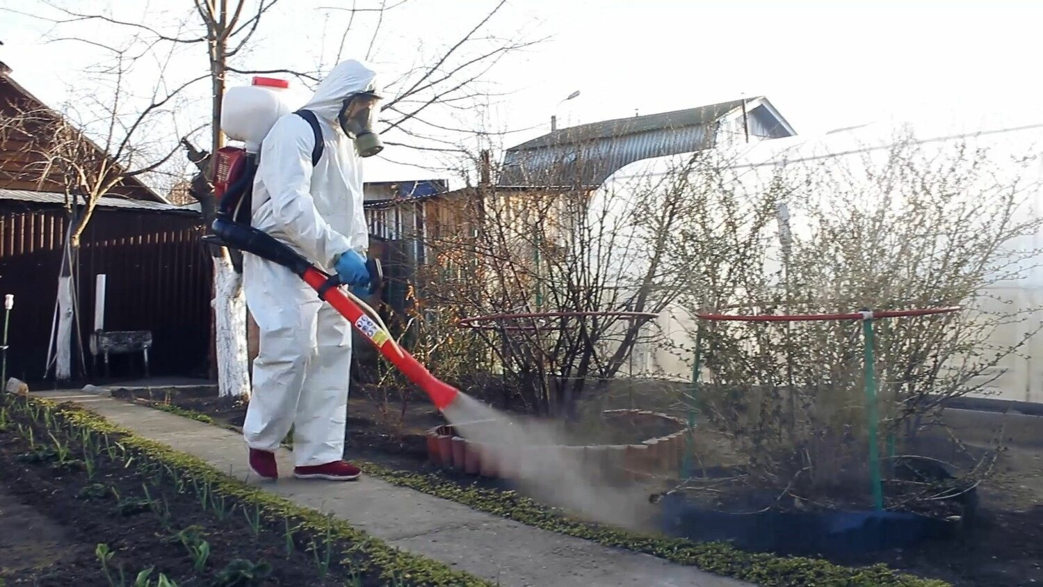 ФОТО Уничтожение муравьёв в Вологде