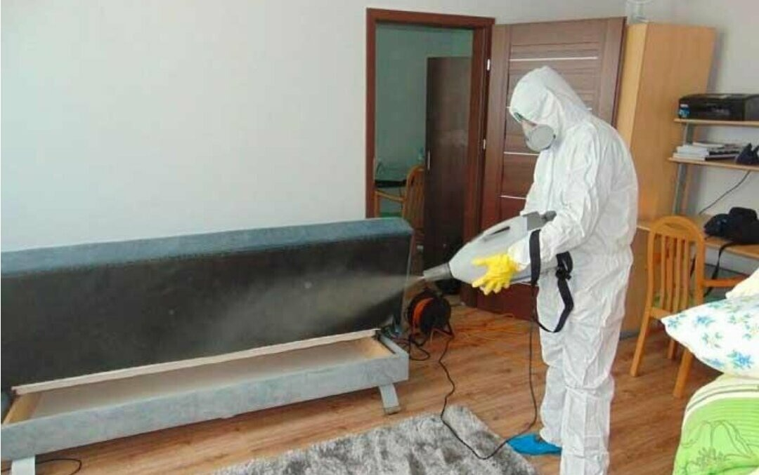 ФОТО Уничтожение блох в Вологде