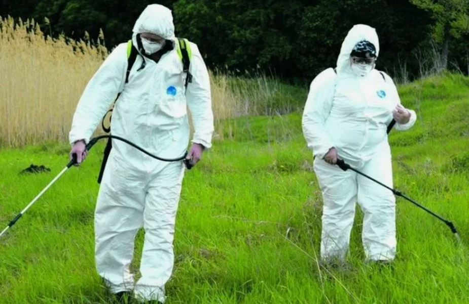 ФОТО Обработка от клещей в Вологде