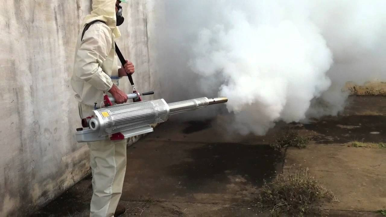 ФОТО Уничтожение мух в Вологде