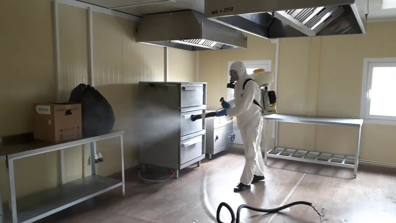 ФОТО Можно ли провести дезинсекцию самостоятельно и какие существуют риски в Вологде? | подробно