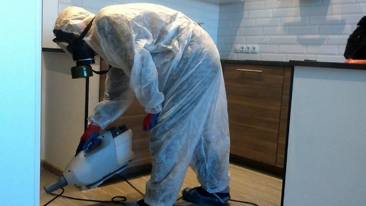 ФОТО Как подготовить домашних животных к обработке от насекомых в Вологде? | подробно