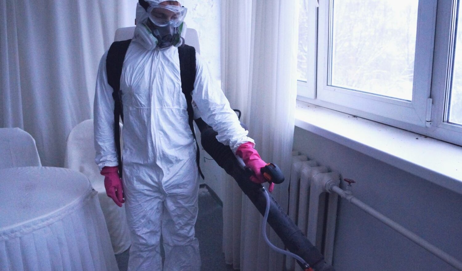 ФОТО Нужно ли выносить растения при дезинсекции в Вологде? | подробно