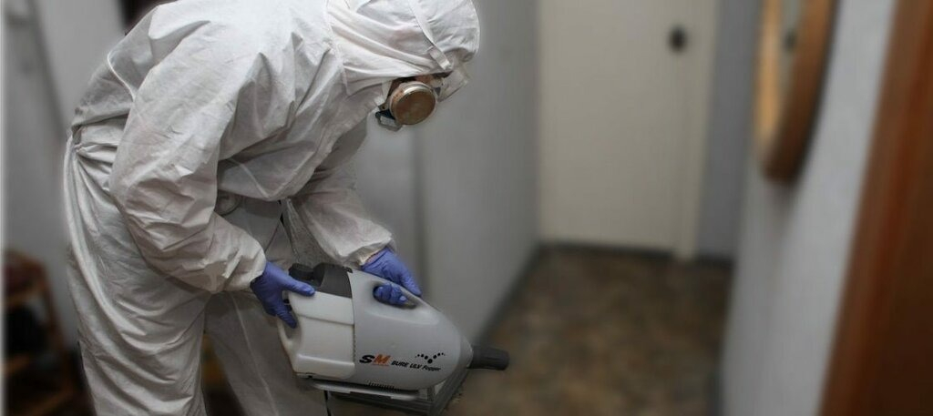 ФОТО Остаются ли следы после обработки квартиры от насекомых в Вологде? | подробно