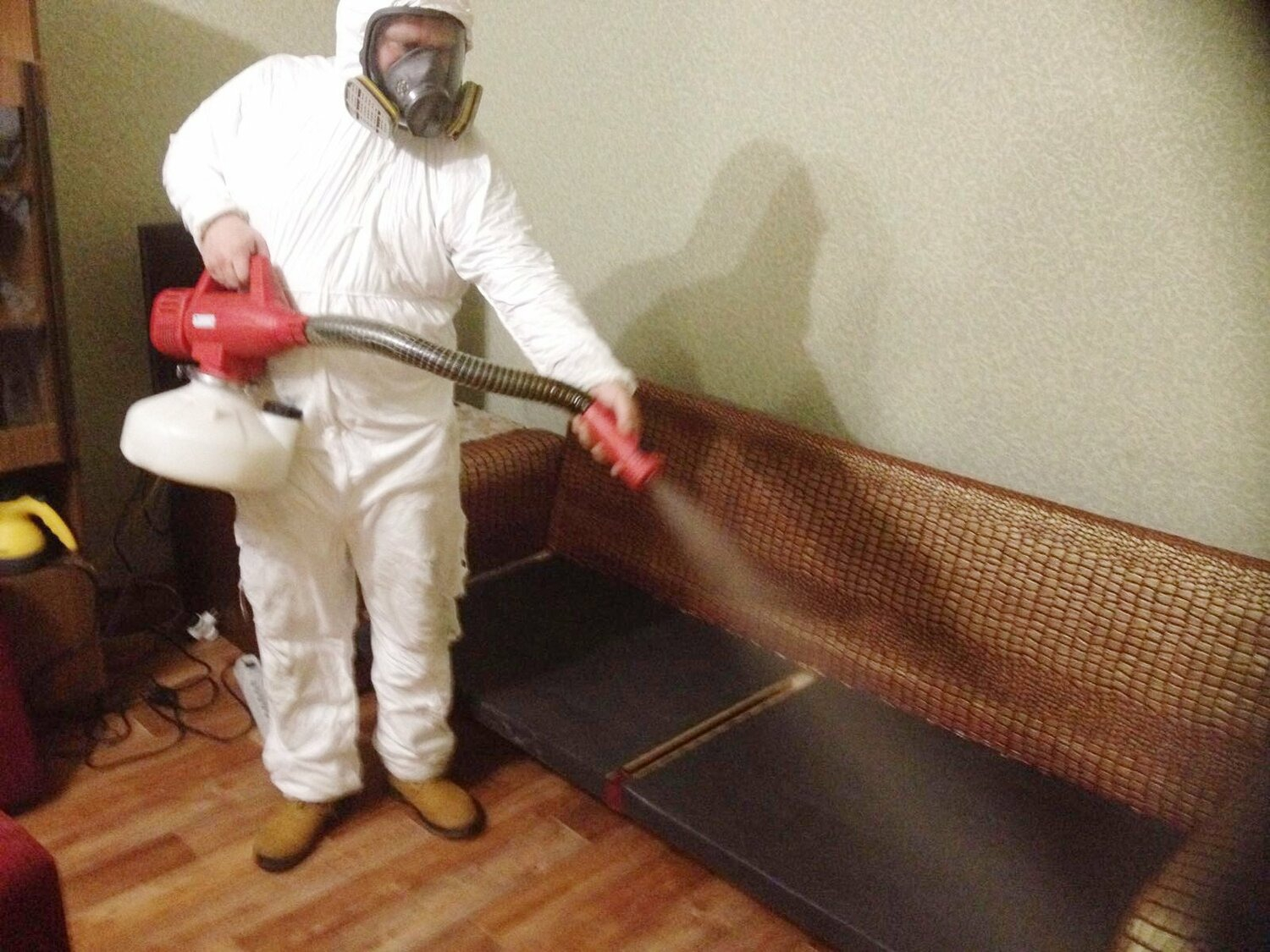 ФОТО Когда можно вернуться в помещение после дезинсекции в Вологде? | подробно