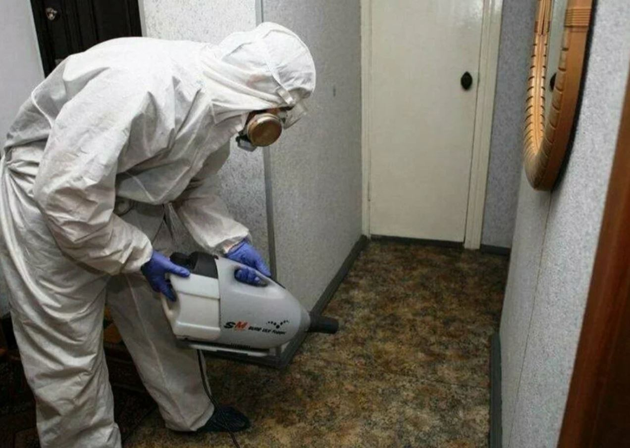 фото: Профессиональная дезинсекция в Вологде: <br/>+7-909-173-42-96